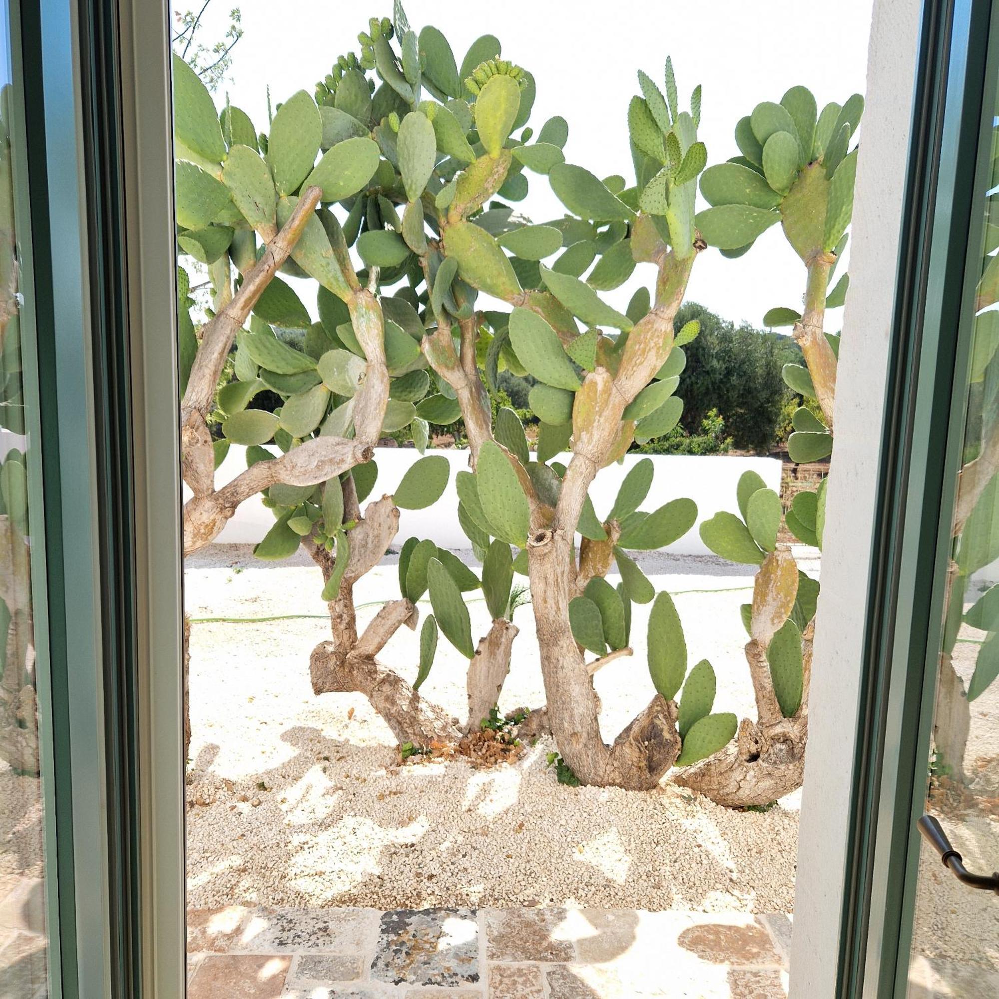 Masseria Paradiso Ostuni Eksteriør bilde